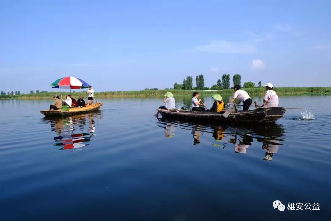 保定雄縣振華撒網(wǎng)直播，自然美景探索之旅直播盛宴