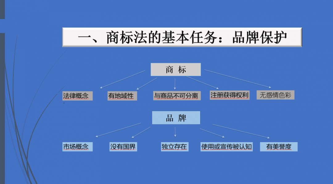 理化直播，探索教育新模式之路