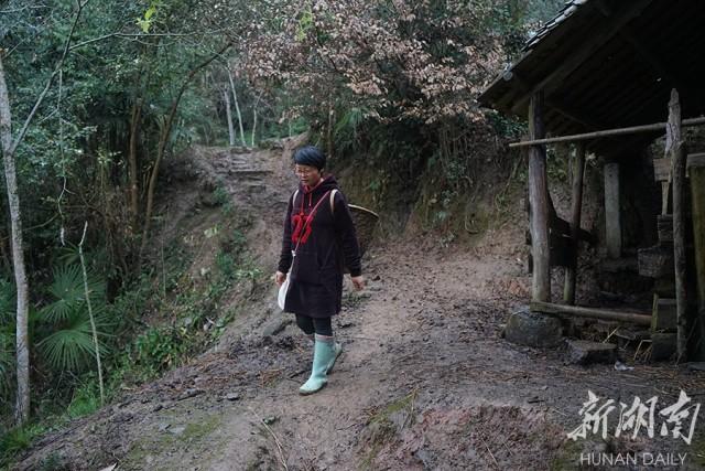 雨鞋直播，時(shí)尚前沿的科技魅力，提升生活品質(zhì)的體驗(yàn)引領(lǐng)者