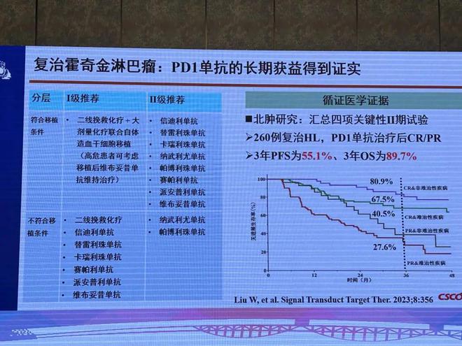 2024澳門免費(fèi)料庫精準(zhǔn)指南，策略解析攻略_IKD清新版