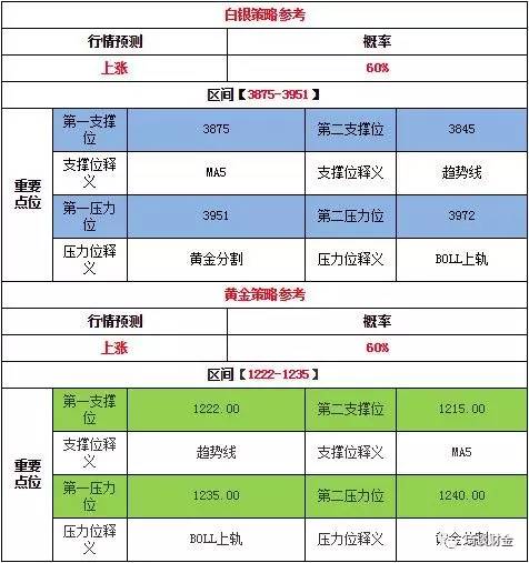 天天好彩246資料全集解析，TSJ68.711版實時解讀分析