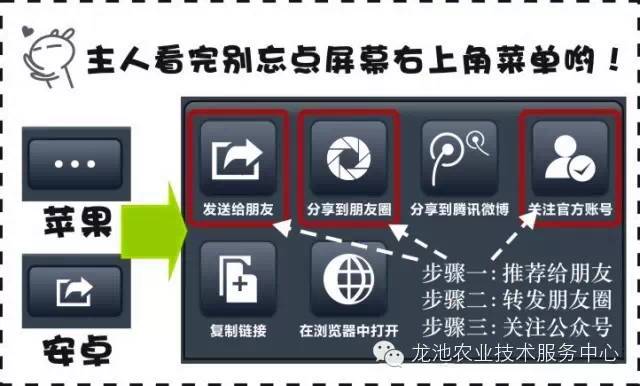 2024新澳正版資料免費(fèi)分享，詳盡解析與實(shí)施指南_WSL 4.73.26專用版