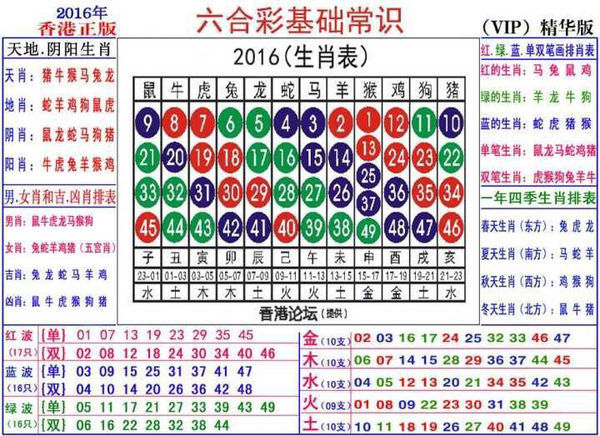 2024生肖49碼策略圖表，精巧布局FKX7.65.89管控版