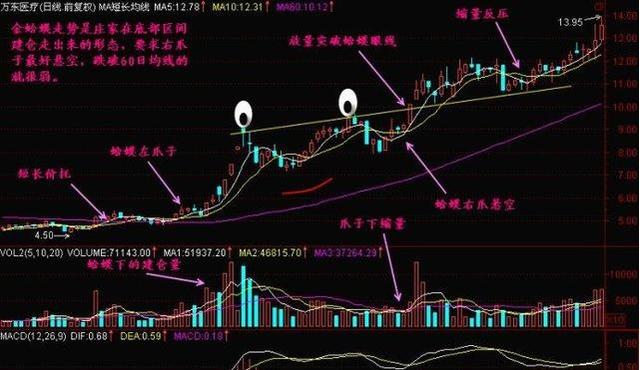 “香港頂級預(yù)測：100%精準肖一肖，揭秘安全設(shè)計策略_NGR849.94”