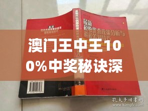 新澳門(mén)王中王100%中獎(jiǎng)，頂級(jí)精選解析升級(jí)版VQU482.13