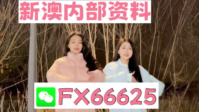 管家婆一碼一肖精準(zhǔn)解析，資料大全及迷你版GYT945.73狀況分析