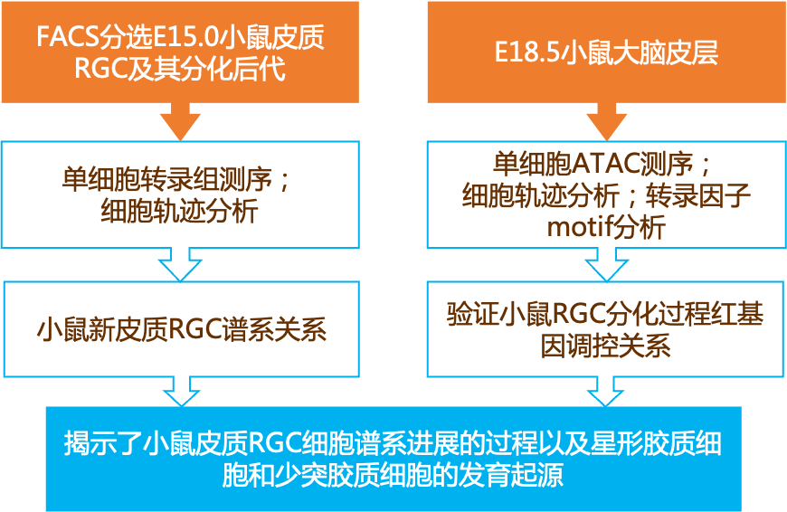 塑膠跑道 第325頁