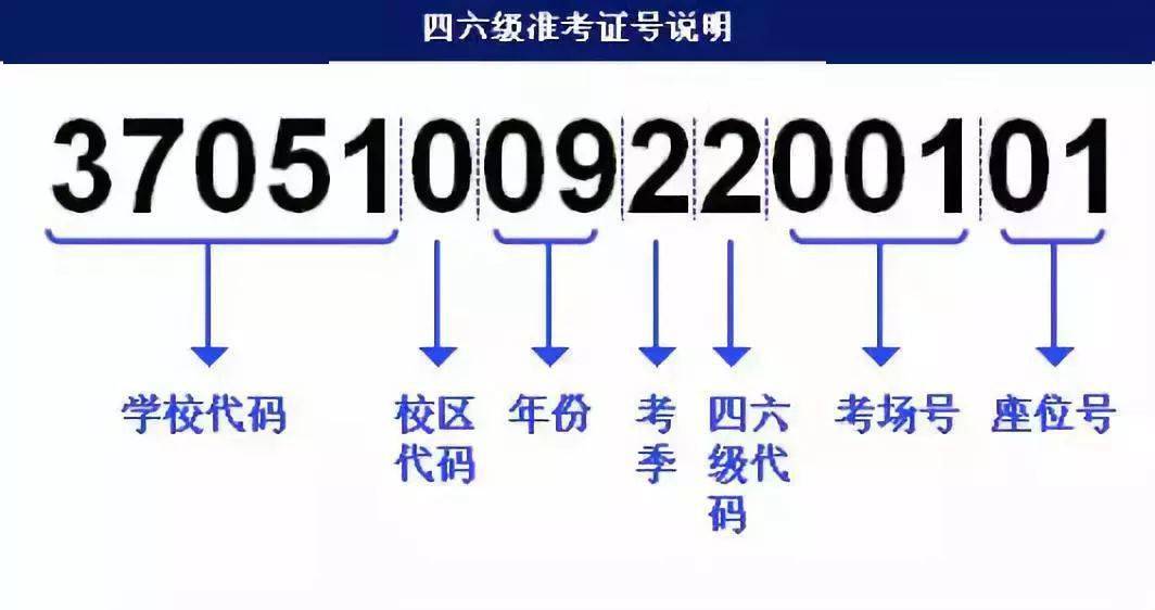 49218.соm查詢新澳開獎結(jié)果,快速解答方案設(shè)計_PTH13.729社交版