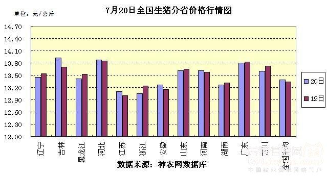 全國最新生豬價格走勢，一場自然美景探索之旅的伴隨變化