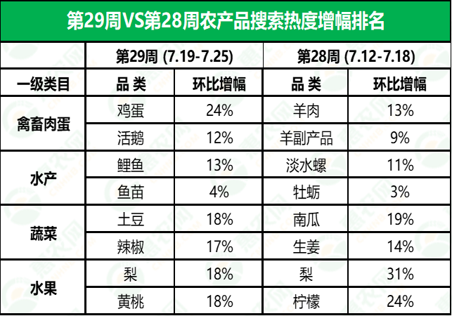 金鄉(xiāng)鮮大蒜最新行情揭秘，小巷深處的蒜香寶藏與價(jià)格走勢(shì)分析