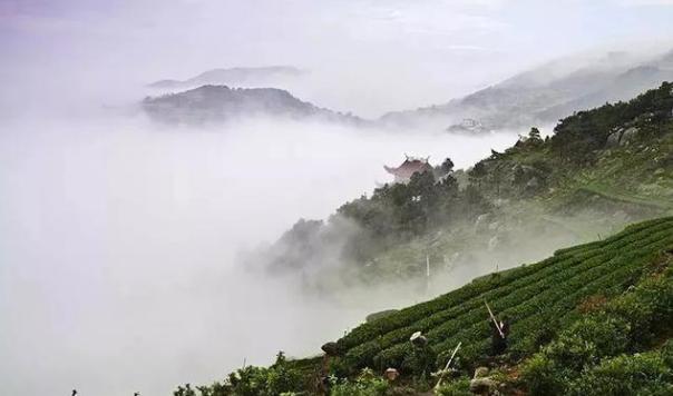 火山最新動態(tài)，活躍地標與時代印記的融合