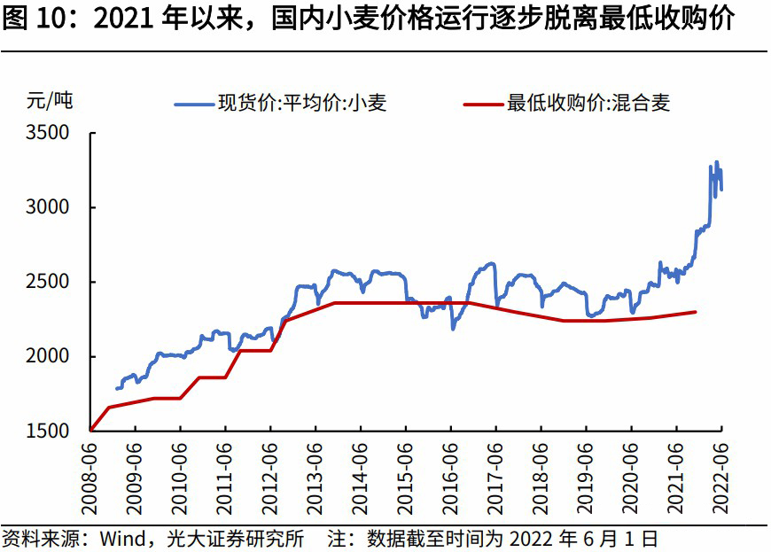 科技引領(lǐng)未來(lái)，小麥?zhǔn)袌?chǎng)最新行情分析，洞悉小麥價(jià)格動(dòng)態(tài)