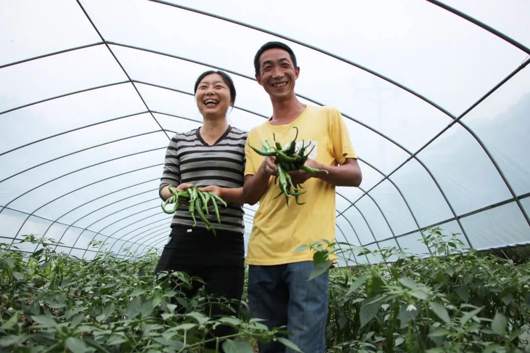 致富經(jīng)最新視頻,致富經(jīng)最新視頻，探索成功的秘訣與財(cái)富之路