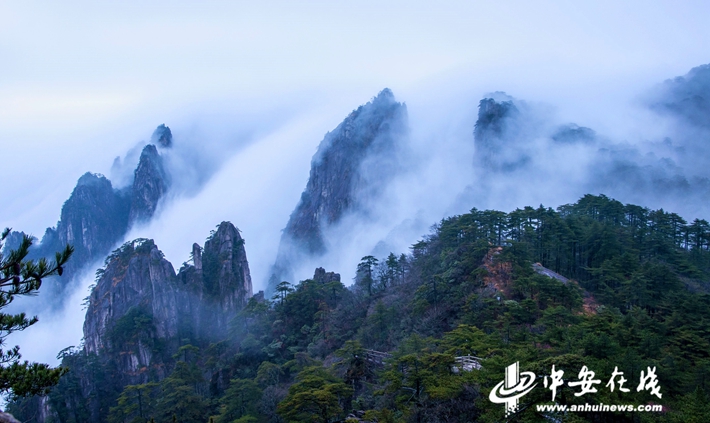 黃山最新動(dòng)態(tài)報(bào)道