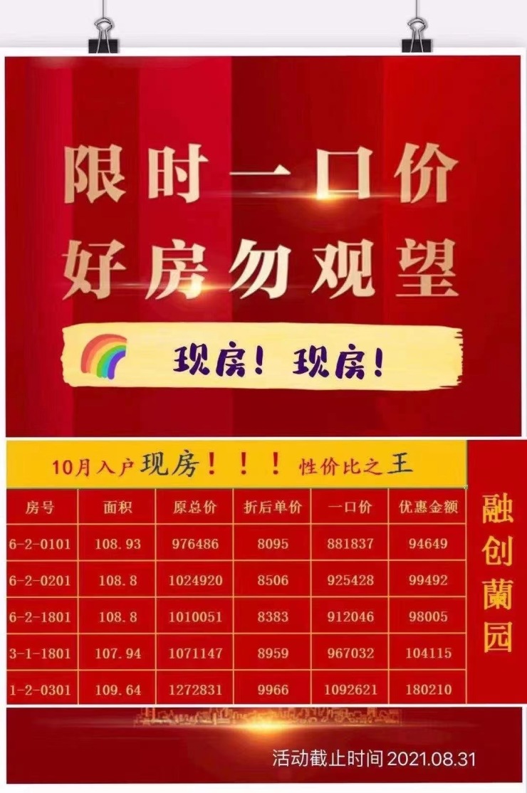 哈慈400044最新公告揭秘，背后的溫馨故事浮出水面