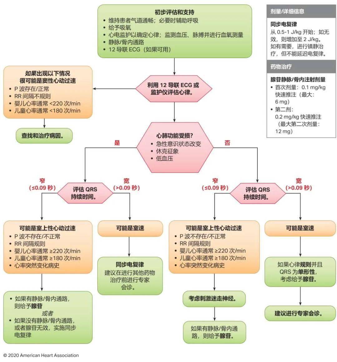 震撼發(fā)布！2024年最新心肺復(fù)蘇指南原版詳解與解讀??