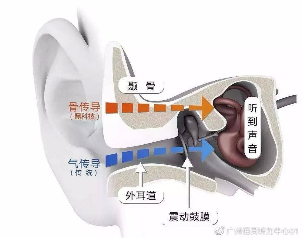 美國耳蝸的秘密，探秘最新款耳蝸耳機(jī)之旅