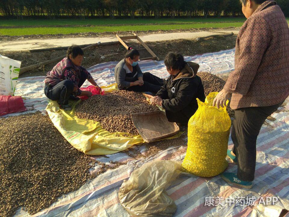 安國最新房屋出售信息及市場態(tài)勢深度解析