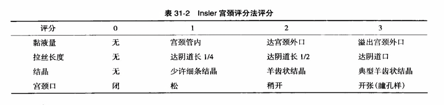 最新宮頸評分標(biāo)準(zhǔn)詳解與小巷深處的特色小店探秘