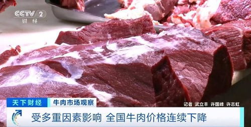 進(jìn)口牛肉行情揭秘，巷弄中的美味探索之旅