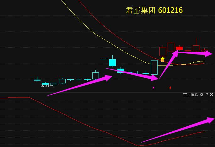 科技前沿進(jìn)展動(dòng)態(tài)，最新分析揭示601216發(fā)展趨勢(shì)