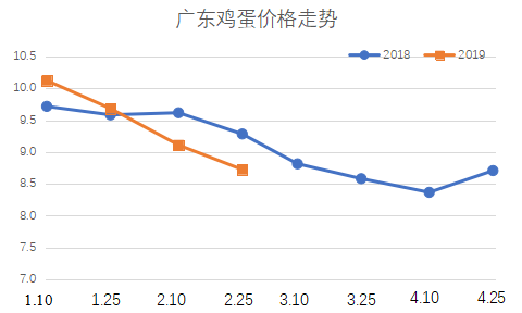 科技引領未來雞蛋市場新紀元，今年雞蛋價格行情走勢預測分析