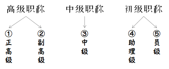 “解析職級并行新規(guī)細(xì)節(jié)”,解析職級并行新規(guī)細(xì)節(jié)——體驗未來科技的新里程碑